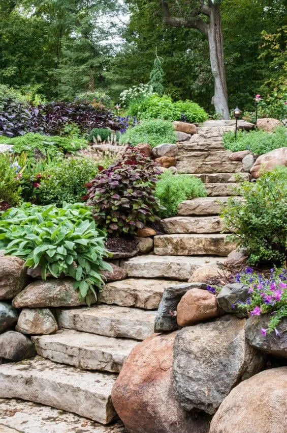 Landscaped stones make for the stairway that leads to a towering tree on top The sides are accented by rounded boulders, varied green plants, and a sprinkle of colored flowers