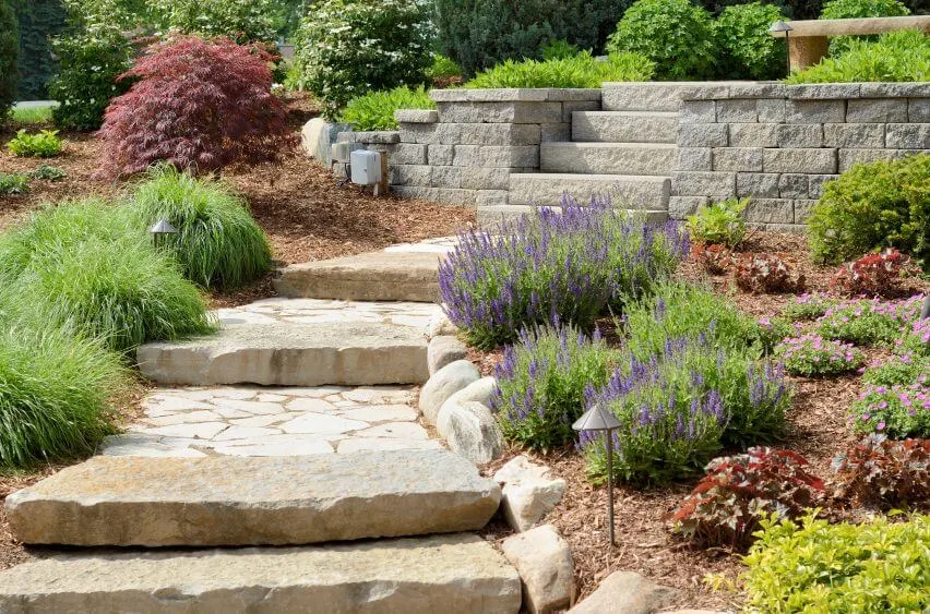 Large paving slabs and paved concrete lead to this outdoor garden, cutting through perennial flowers, Barberry, and shrubs that seem to grow in patches beside the paved stones