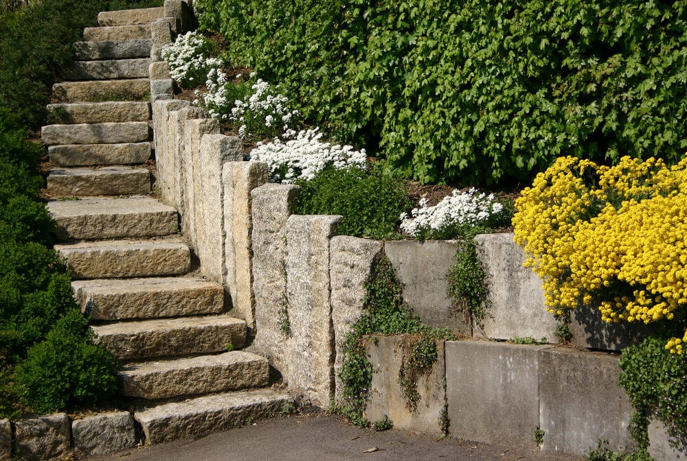 The stony garden steps are set apart by vertical slabs on one side and unclipped hedges on the other The vertical slabs seem to overflow with perennial flowers, shrubs, and climbing vines
