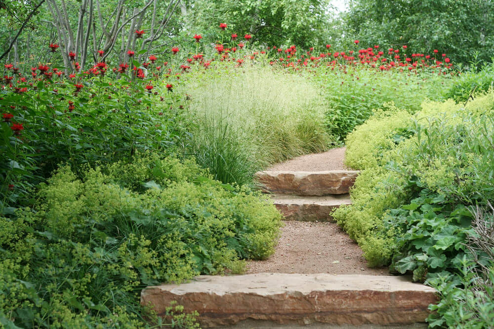 Red poppies are seen towering over a bed of varied greenery that almost completely cover up the garden steps made of occasional stone slabs The almost complete cover by these garden plants can play with one’s imagination, promising a secret garden nearby