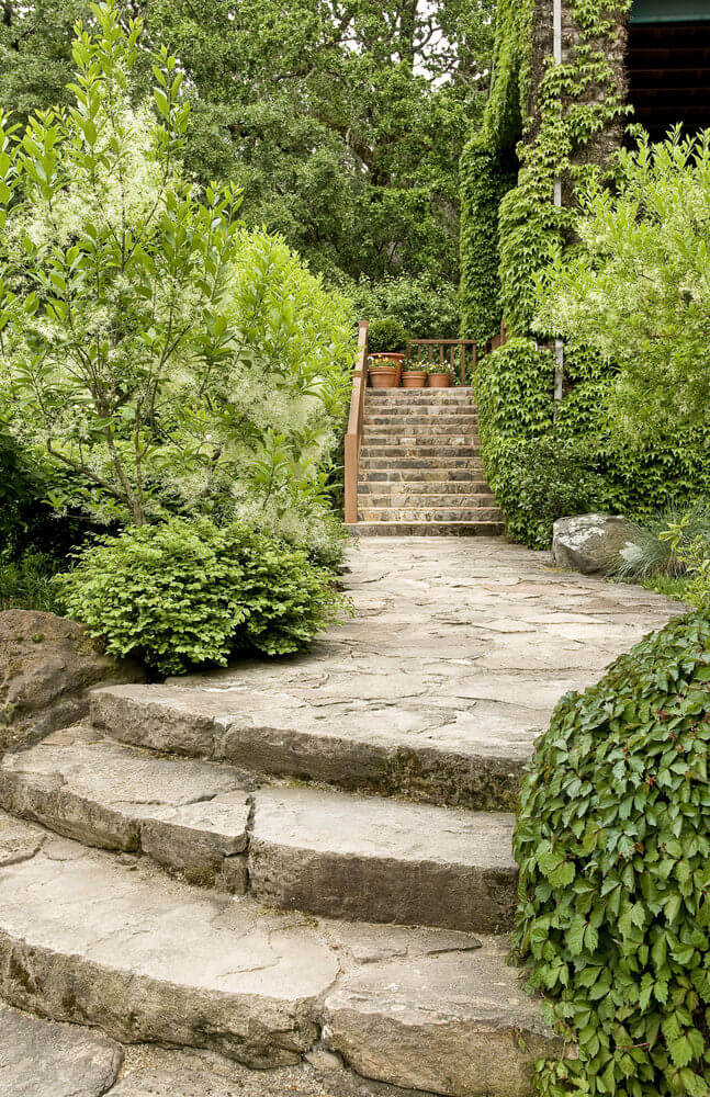 Green foliage serves as a backdrop, as crawling vines have climbed parts of the house while mixed evergreen shrubs line up the stoned pathway Only the stony staircase outside and the stoned pathway are left free from the invasion of greenery