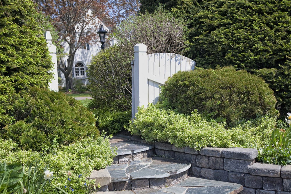 Unclipped hedges are tucked neatly by the landscaped stone-styled garden steps outside the white wooden gate