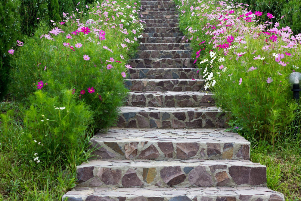 Colorful shamrocks look as if they’re joyously singing as they line these stone garden steps, making for a magnificent feel for an entrance