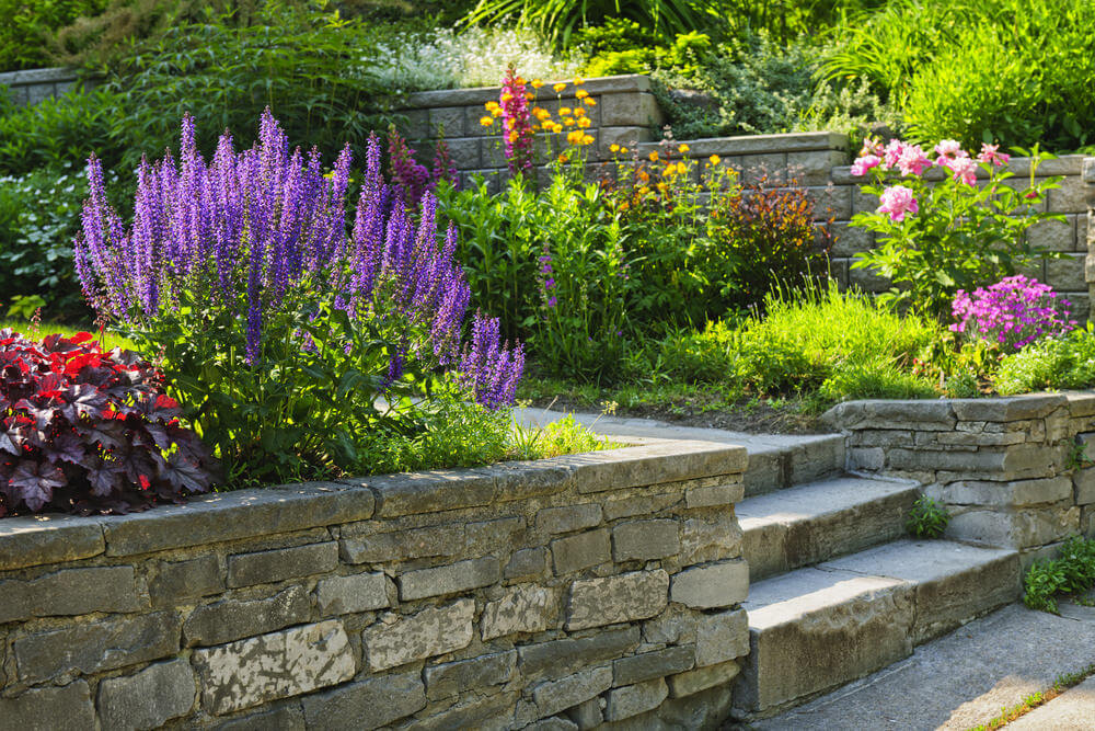 Shrub flowers such as lavenders, azaleas, diabolo, and perennial flowers are neatly tucked into place by the landscaped stone-styled planters clearly making way for the stony garden steps