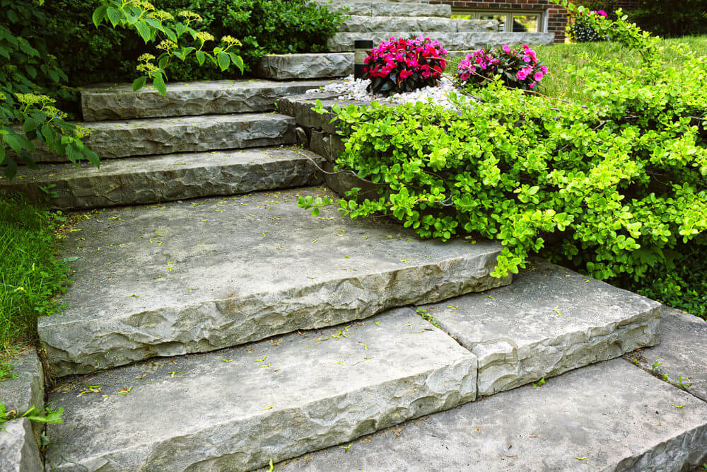 Paving slabs with rugged edges that serve as garden steps are surrounded on all sides by swaths of low lying green shrubs and sprinkling of flowering plants