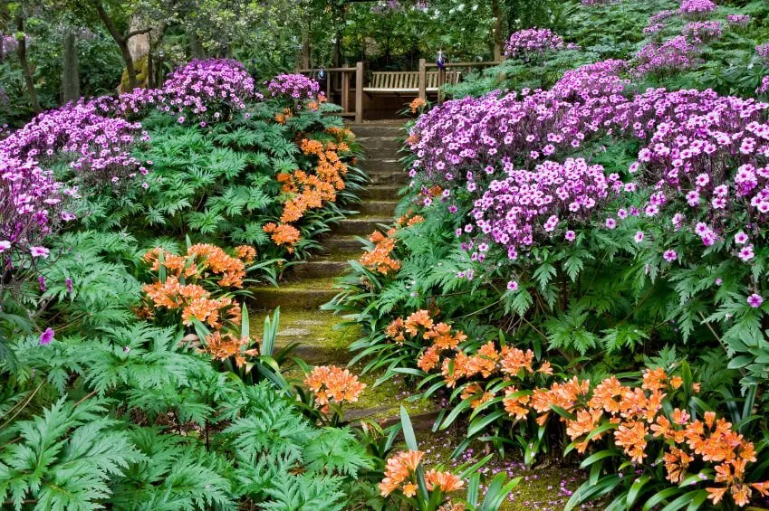 The garden’s pathway is made elegant with the side-lining of purple and tangerine flowers in a sea of green