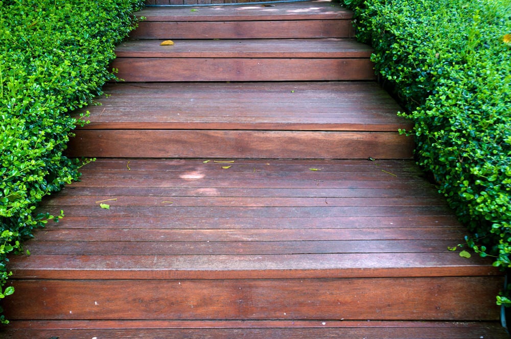 Well-trimmed hedges makes a neat presentation of thess broad wooden garden steps