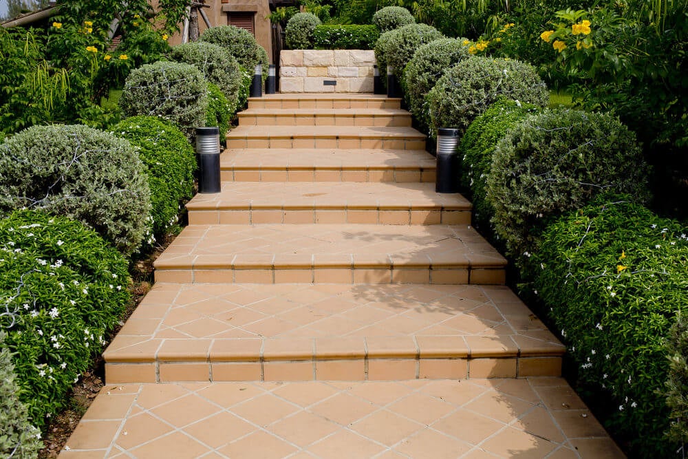 Evergreen shrubs lining up the concrete garden steps make a good ornamental boundary