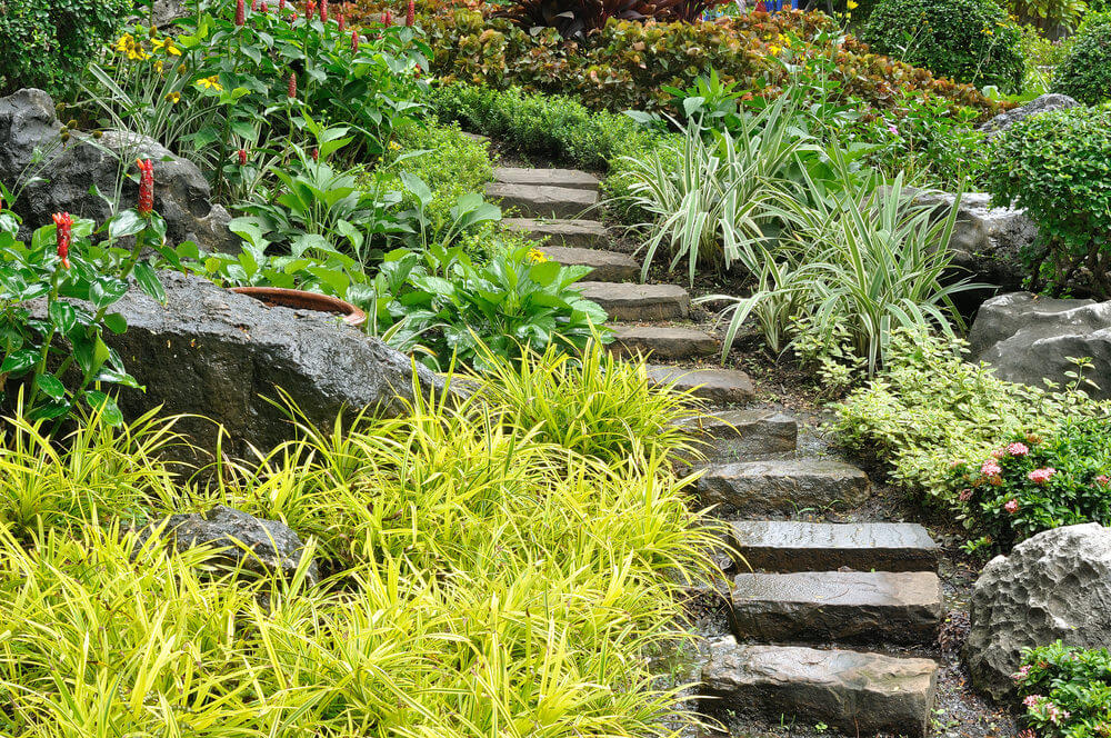 Japanese ornamental grasses and other shrubs are side by side with dark boulders as they make way for the rugged stone garden steps