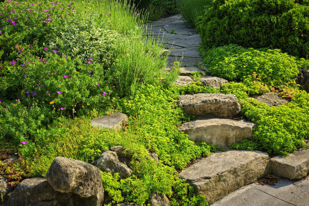 Low lying shrubs make a beeline for these slab stone rock garden steps