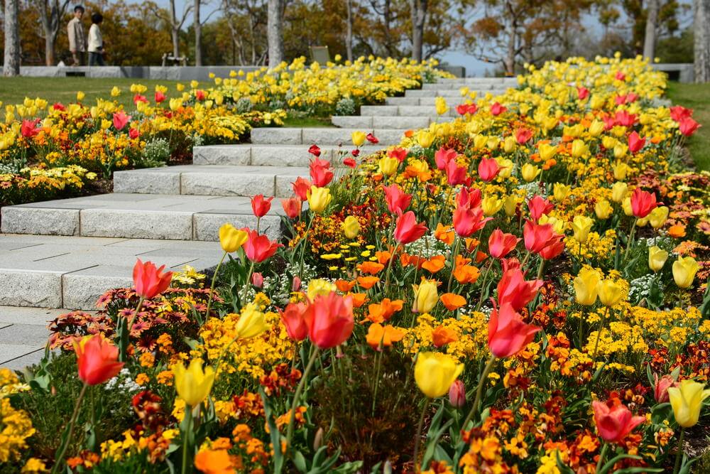 These stone garden steps are conveniently nestled between beds of beautiful tulips and perennial flowers in hues of yellow, orange, pink, and red