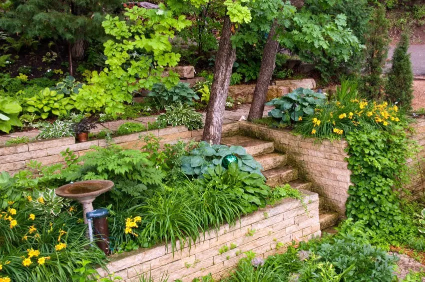 Mixed greenery of crawling vines, herbs, shrubs, and a sprinkle of yellow flowers make for the inviting warmth in this outdoor garden of concrete, which would otherwise remain as cold as the stones