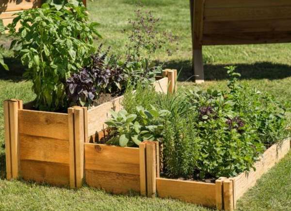 Rustic Raised Beds
